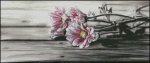 (image for) Flowers